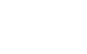 Twin Apex Capital